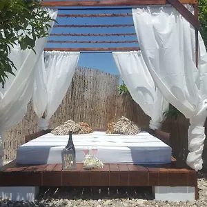 https://finca-rayo-del-sol.1costadelsol.com